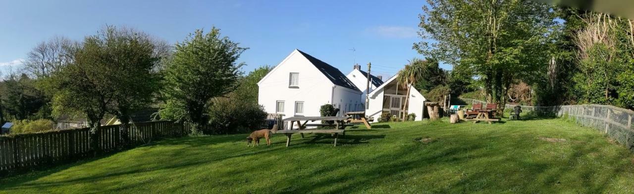Ivybridge Guesthouse فيشجارد المظهر الخارجي الصورة